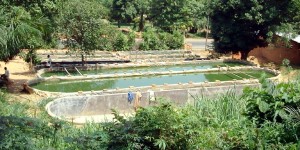 Ferme Paysanne République Centre Africaine (RCA)