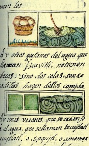 Illustration spiruline Lac Texcoco du 16ème siècle source Codex Florentin, livre 11