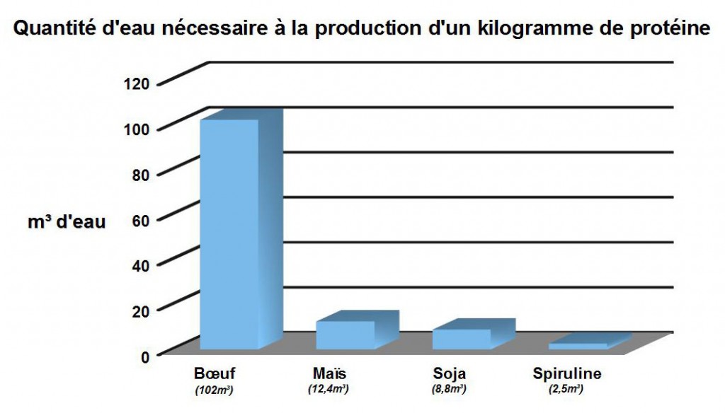 Quantite eau Proteine SPIFORM spiruline