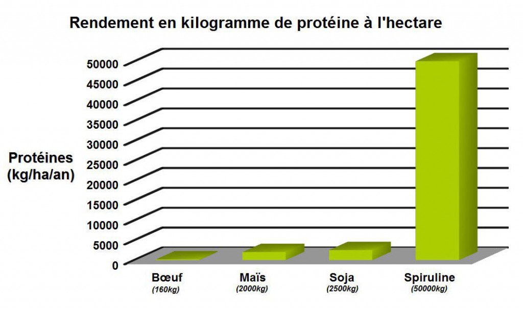 Rendement Proteine SPIFORM spiruline