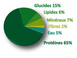 Valeurs nutritionnelles de la spiruline SPIFORM